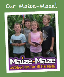 our maize maze
